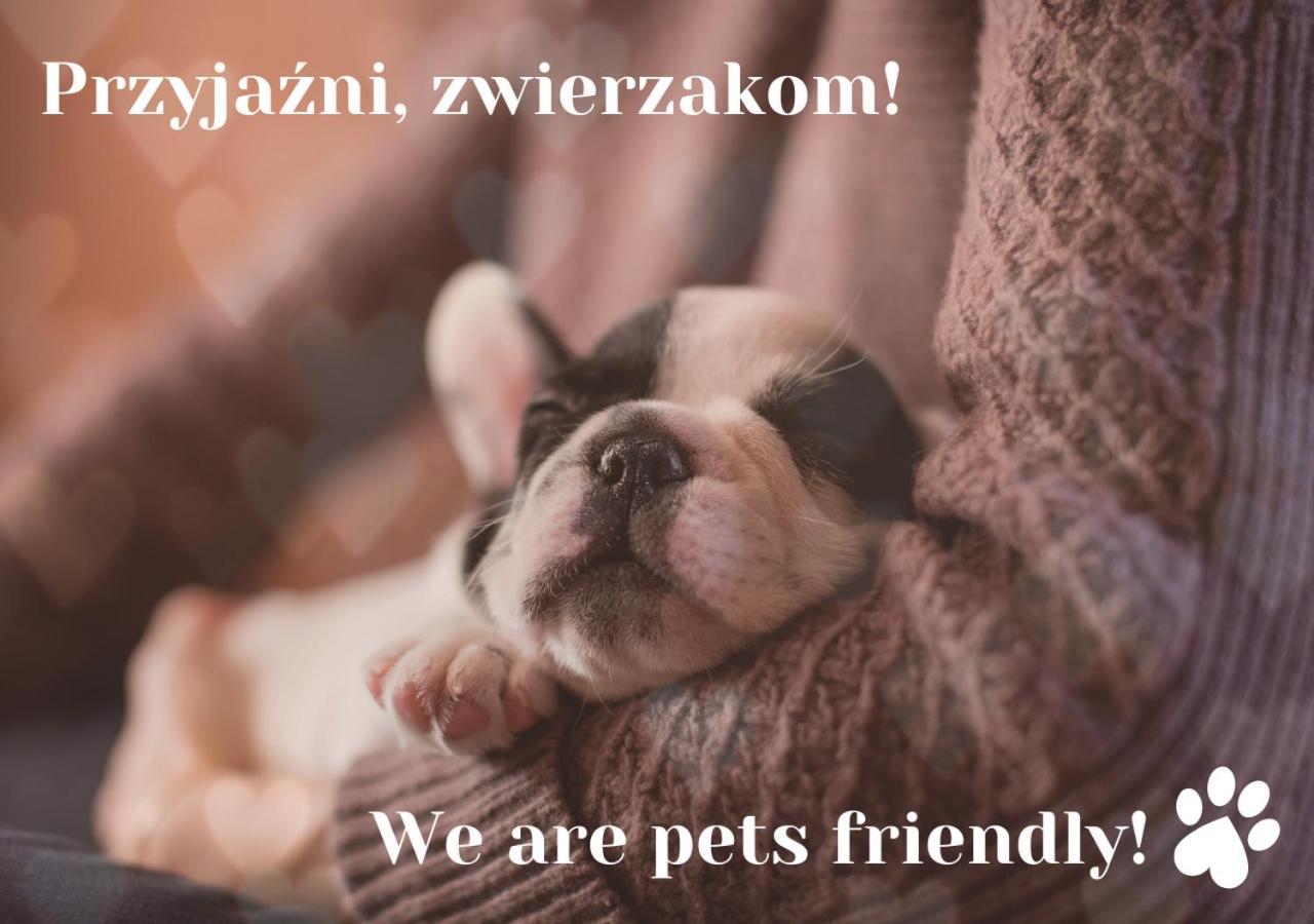 Willa Jordanowka Czorsztyn Exterior foto